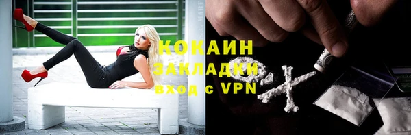 прущие грибы Арсеньев