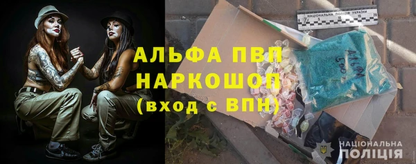 прущие грибы Арсеньев