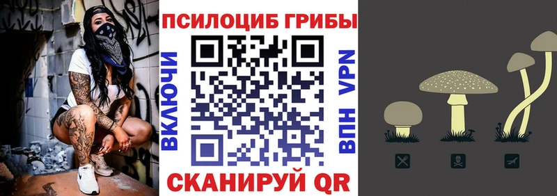 цена   Электрогорск  Псилоцибиновые грибы прущие грибы 